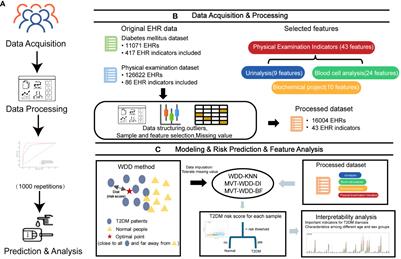 Identifying diagnostic indicators for type 2 diabetes mellitus from physical examination using interpretable machine learning approach